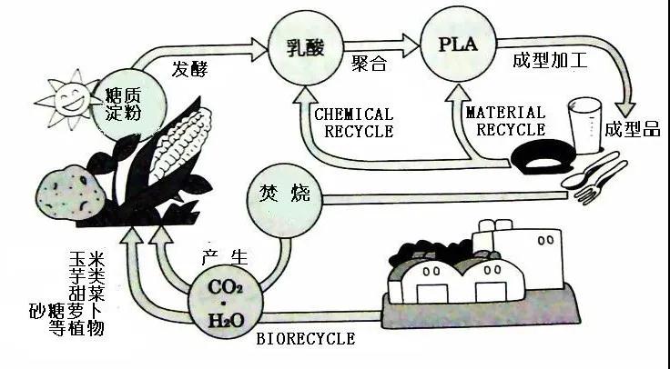 可生物降解環(huán)保塑料可以回收再利用嗎？(圖4)
