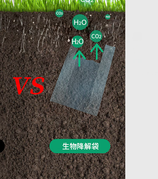 可生物降解環(huán)保塑料可以回收再利用嗎？(圖1)